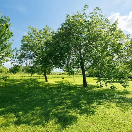 Meretei Porta By Interhome Apartman